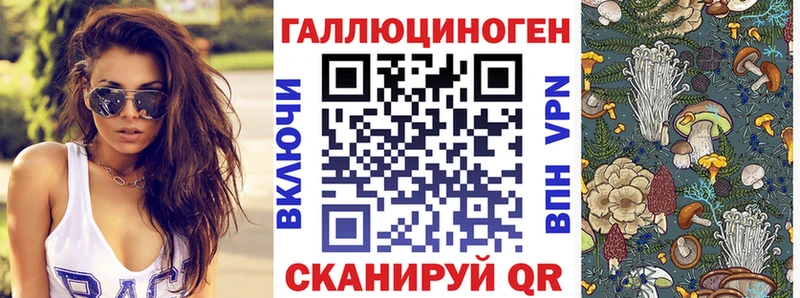где купить наркотик  Благодарный  Галлюциногенные грибы ЛСД 